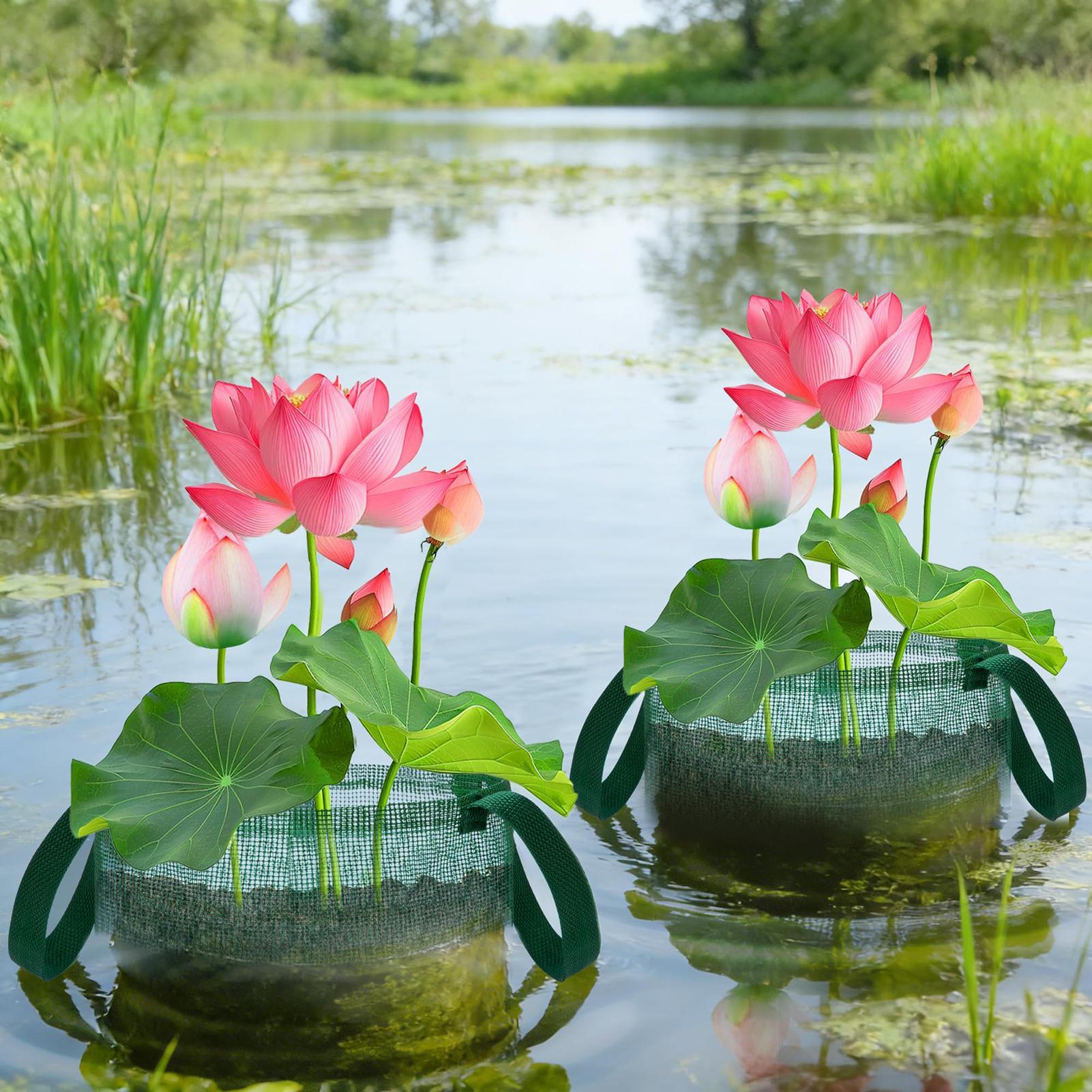 Bonsai için havuz sepetleri 4  - Bonsai Garden With Pond incelemesi ve fiyatı