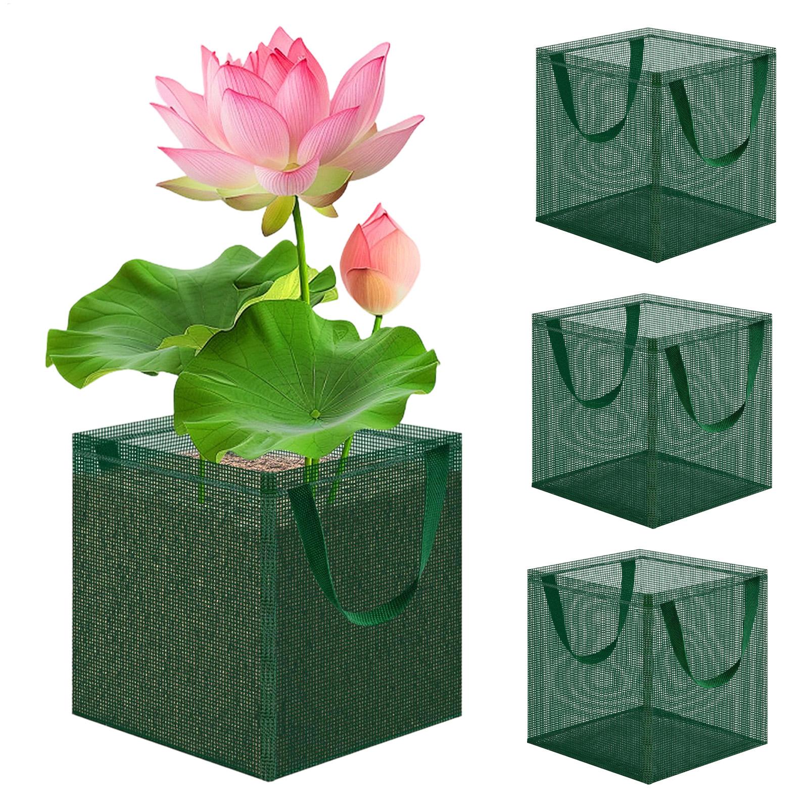 Bonsai için havuz sepetleri 4  - Bonsai Garden With Pond incelemesi ve fiyatı