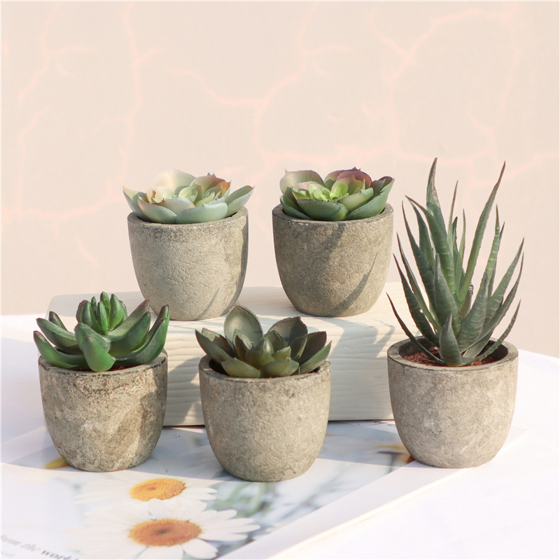 Mini Yapay Aloe Bitkiler Bonsa - Bonsai Garden Sushi incelemesi ve fiyatı
