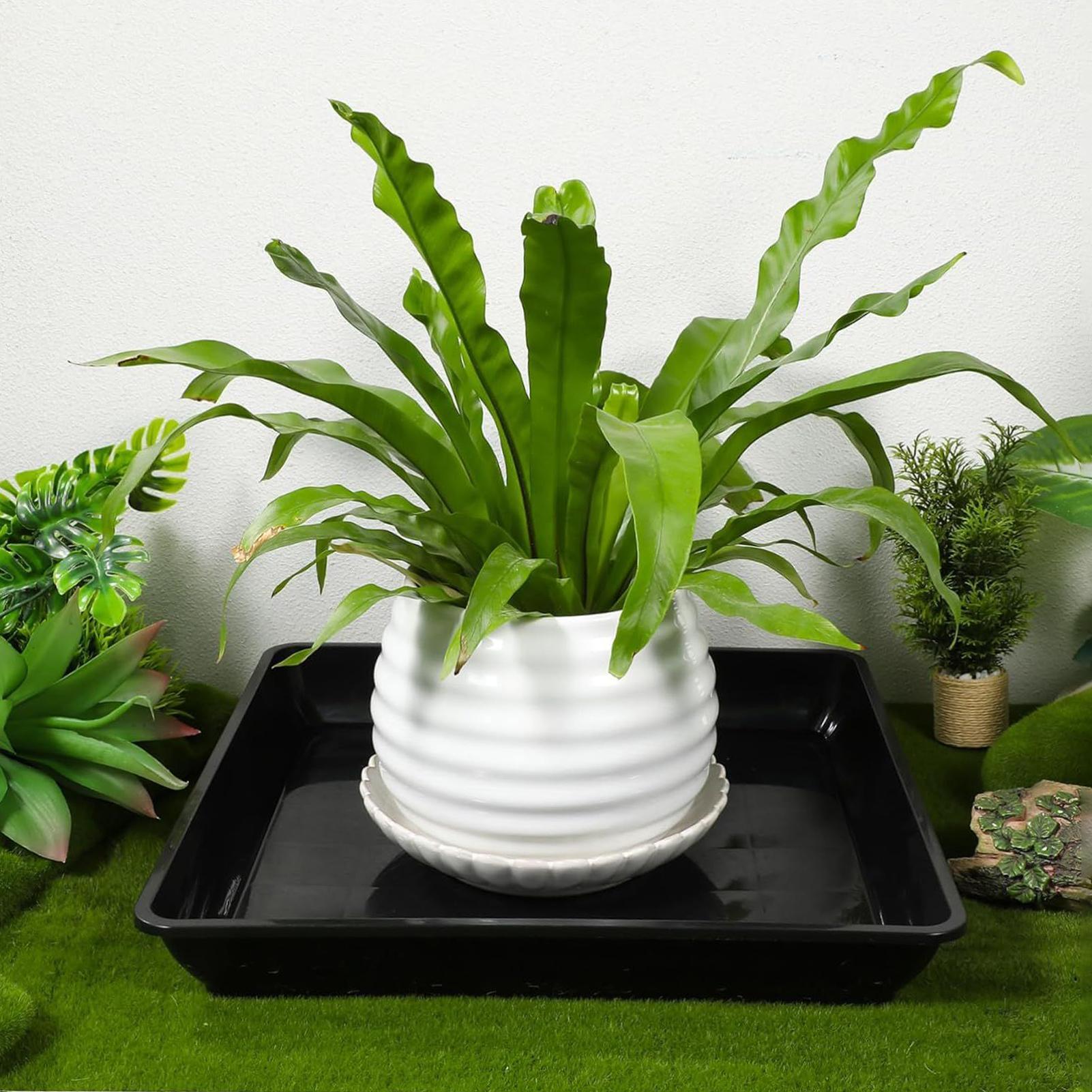 Çiçek Saksısı Tepsileri 2 Adet - Drip Tray Saucer incelemesi ve fiyatı