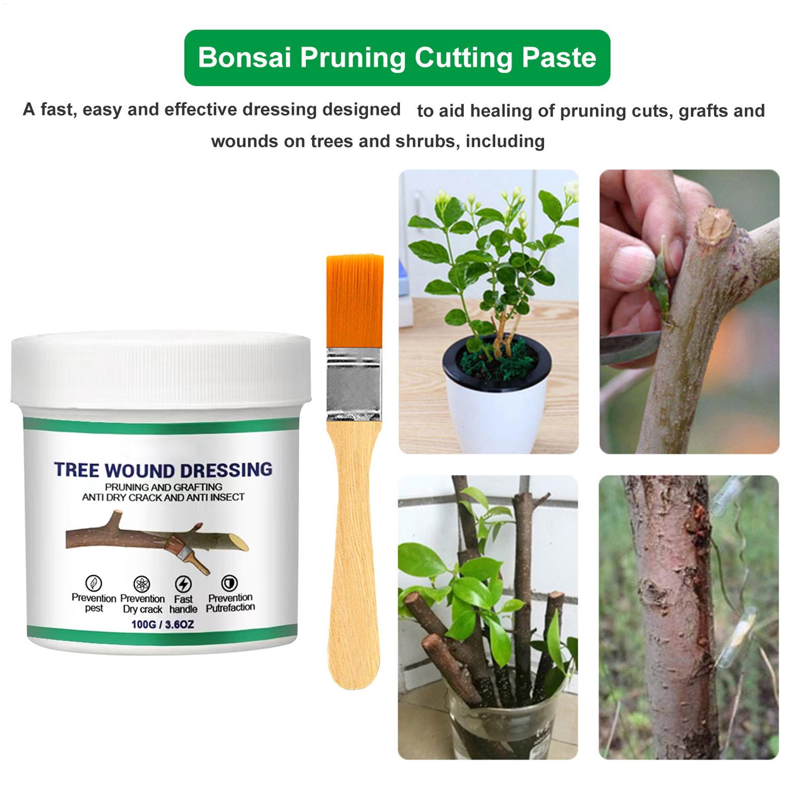 100g Ağaç Yara Sızdırmazlık Ma - Us Bonsai Garden incelemesi ve fiyatı